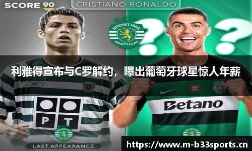 b33体育官方网站