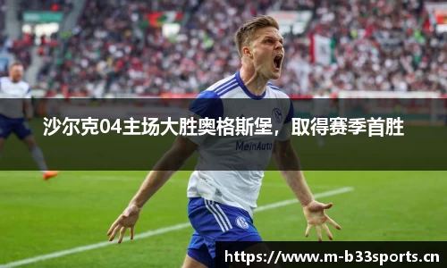 b33体育