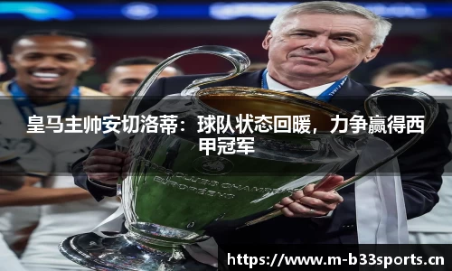 b33体育官网