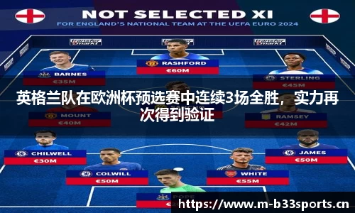 b33体育官网