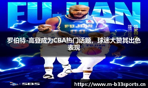 b33体育