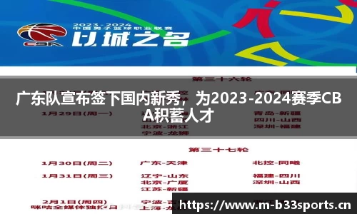 b33体育官网