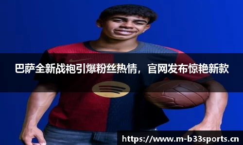 b33体育官网
