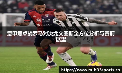 b33体育