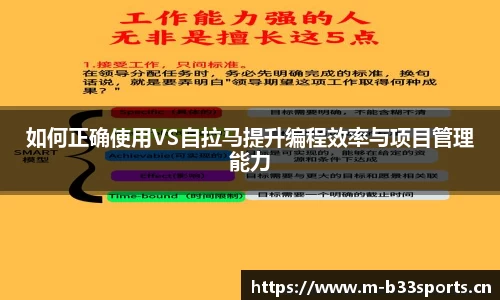 b33体育