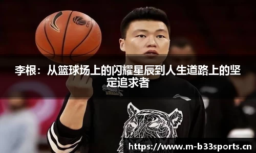 b33体育