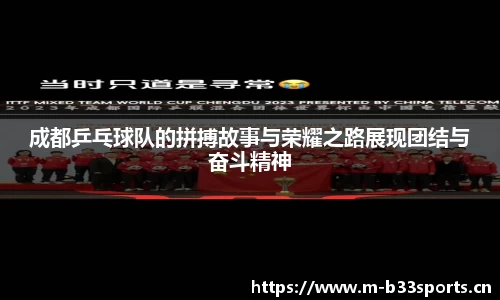 b33体育官网