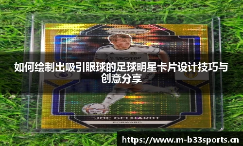 b33体育