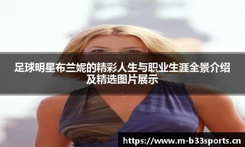 b33体育官网